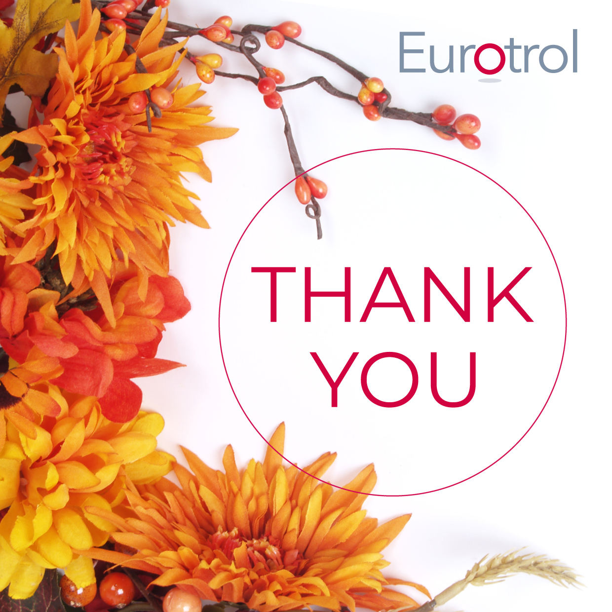 2023-09-25 Autumn Thanks Card 2023 Square